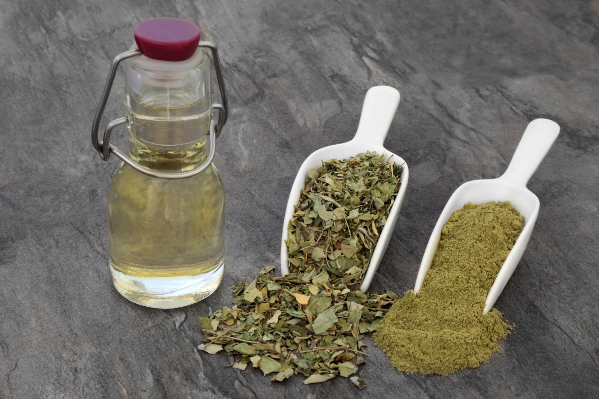 Different forms of moringa: oil in a bottle, chopped parts on a spoon, ground on a spoon