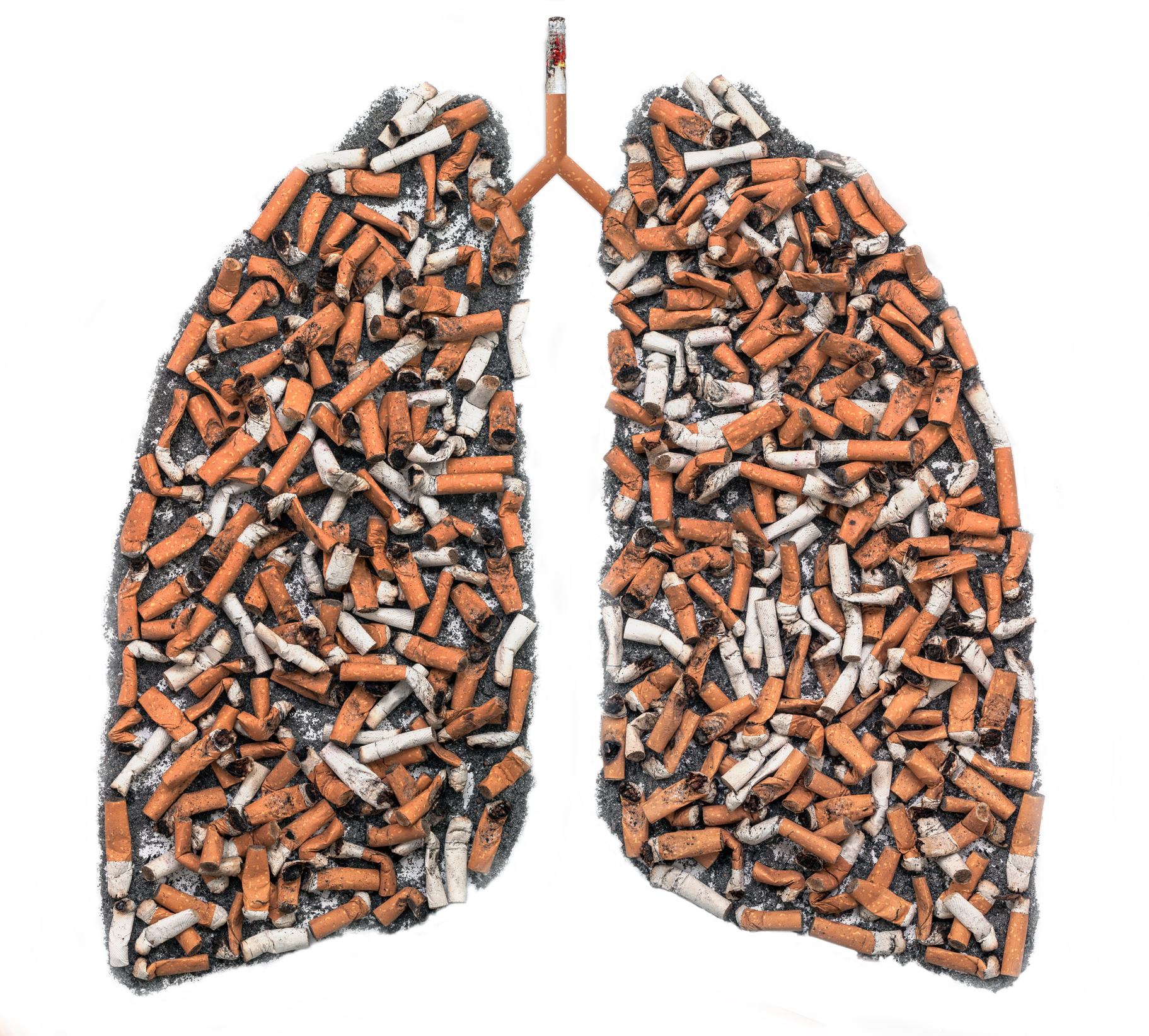 Smoker's lungs - cigarette butts illustrate the pollution of the lungs when smoking.