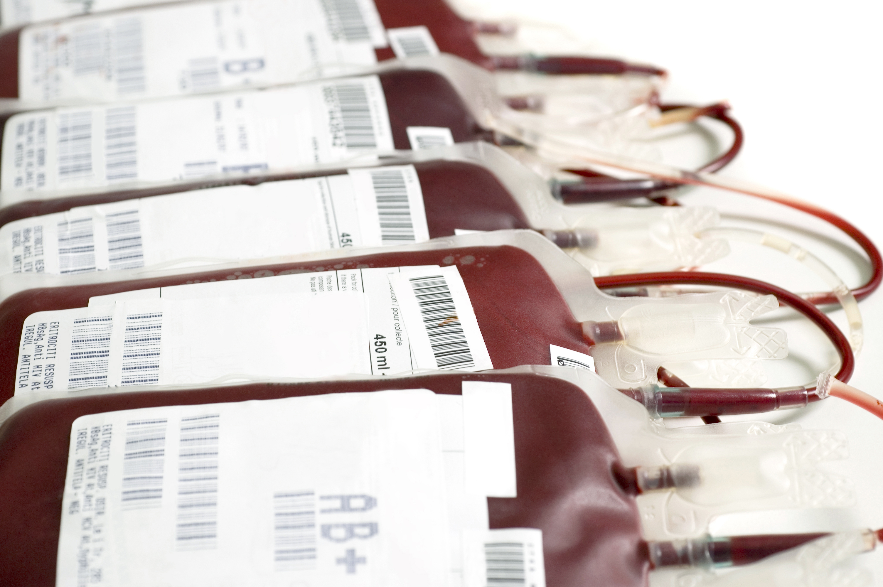 Blood ready for transfusion