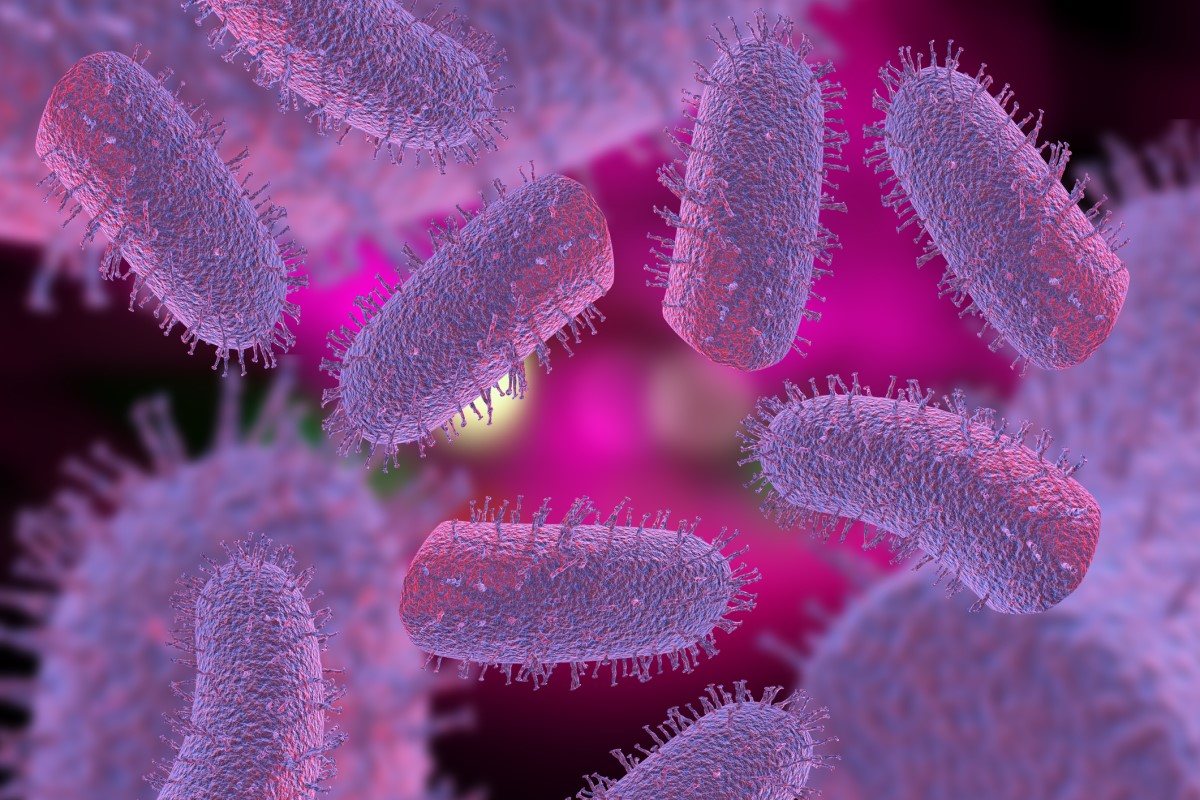 Lyssavirus - Lyssa virus - 3D representation of rabies viruses