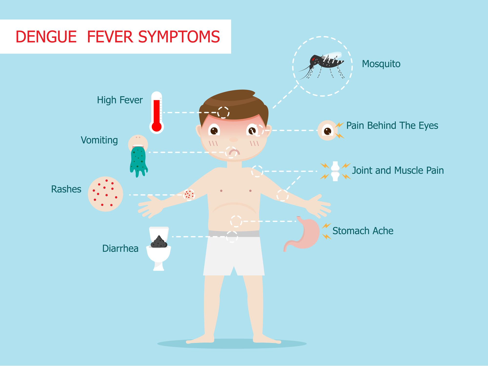 Symptoms of dengue fever