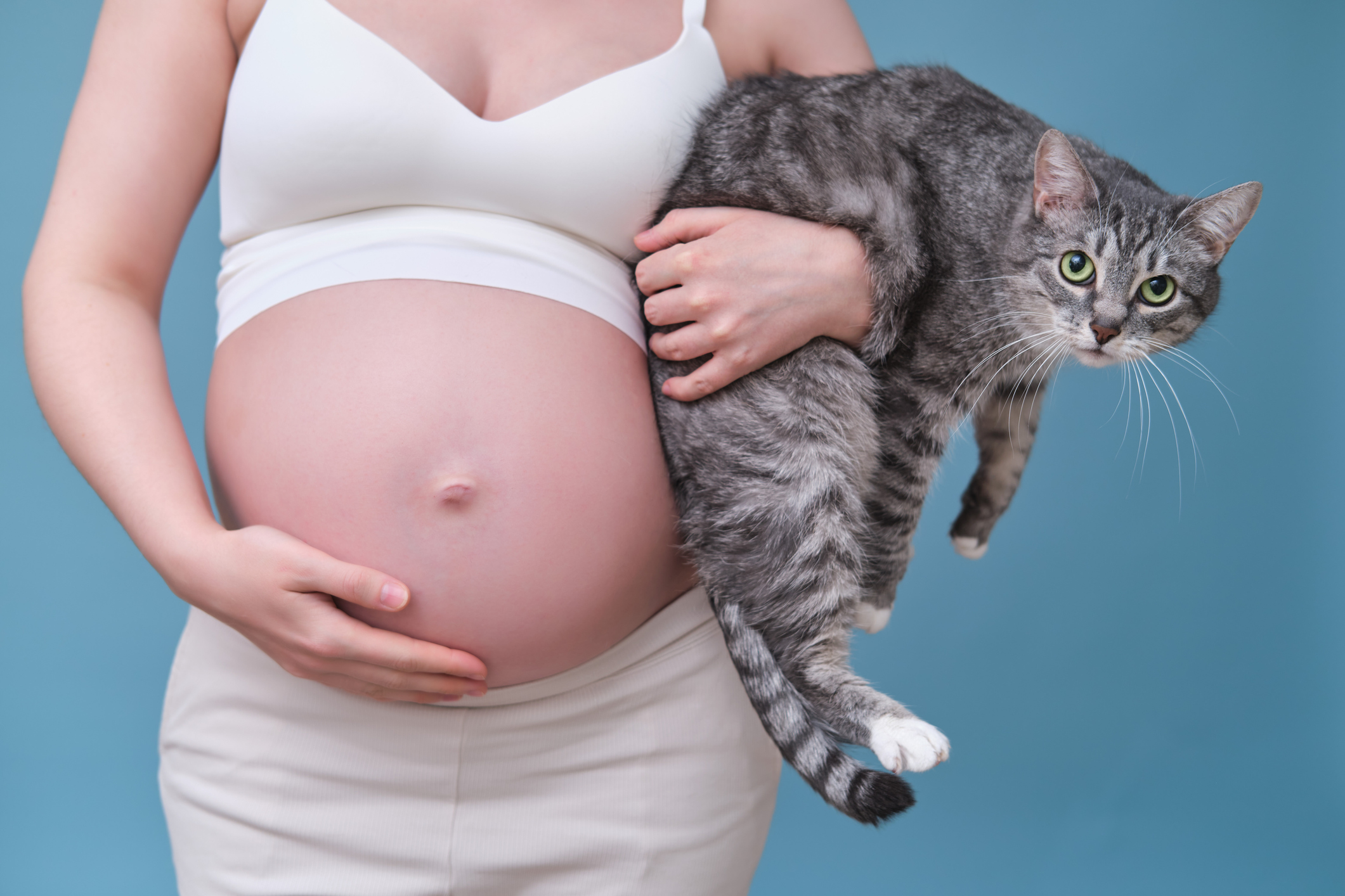 Pregnant woman holding a cat