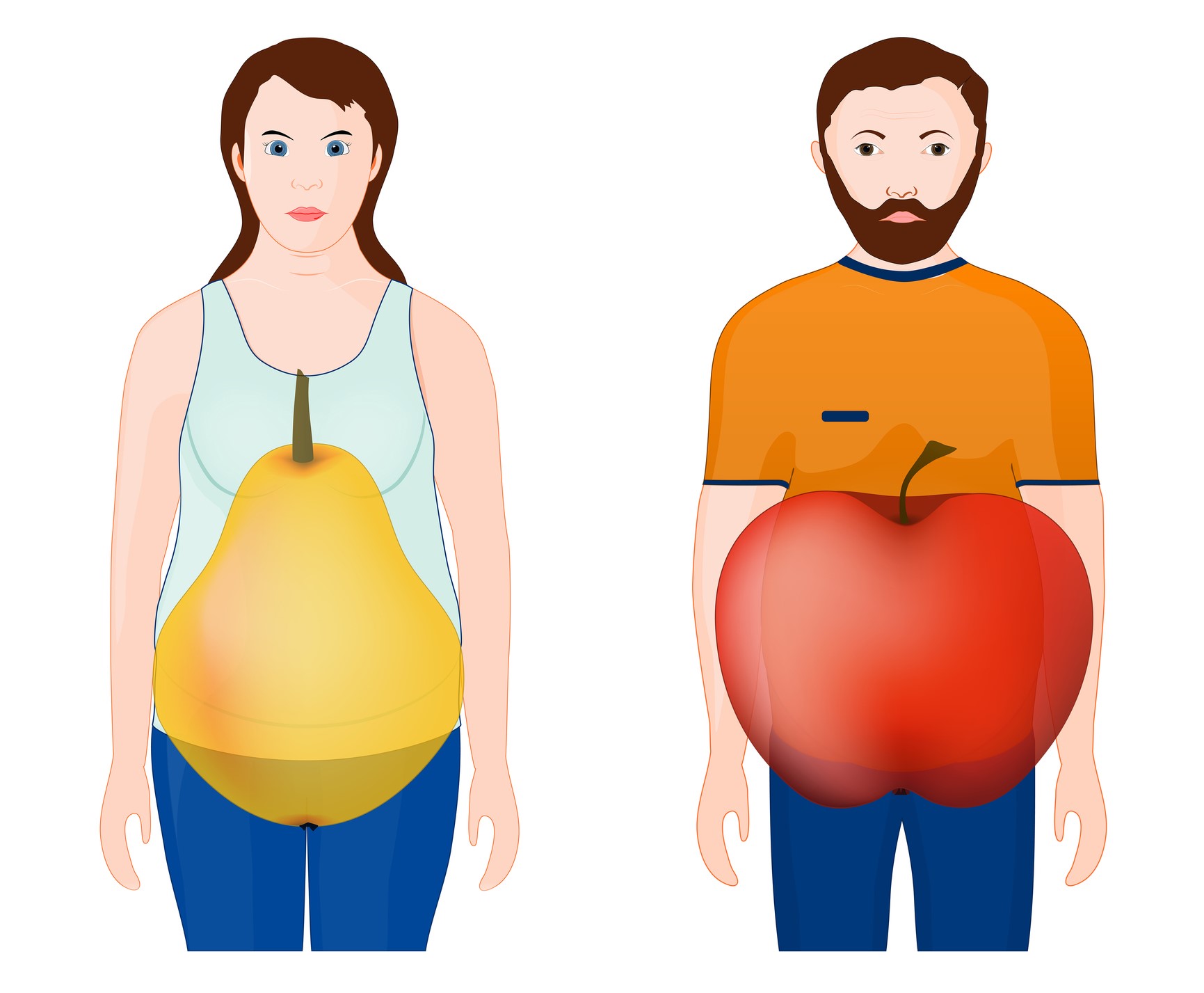 Animation showing the shape of the body - woman, pear, man, apple