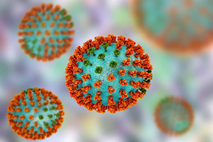 Influenza virus model