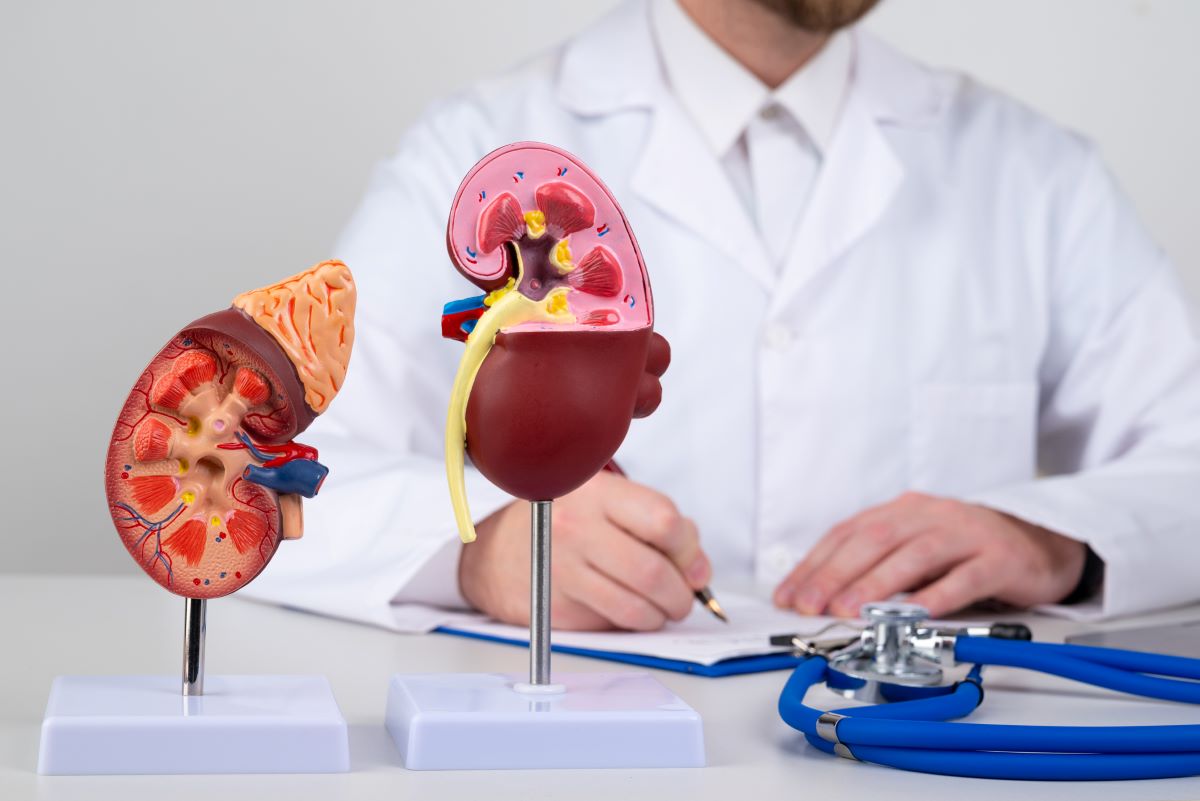 Kidney inflammation, glomerulonephritis what are the causes and