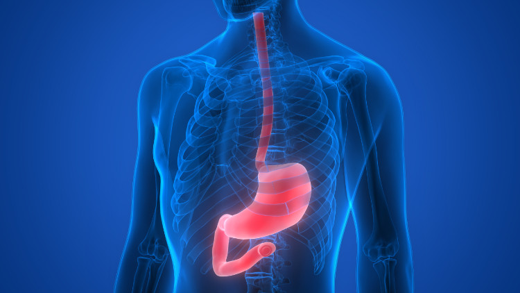 blue silhouette of a man with anatomically depicted stomach and esophagus in red