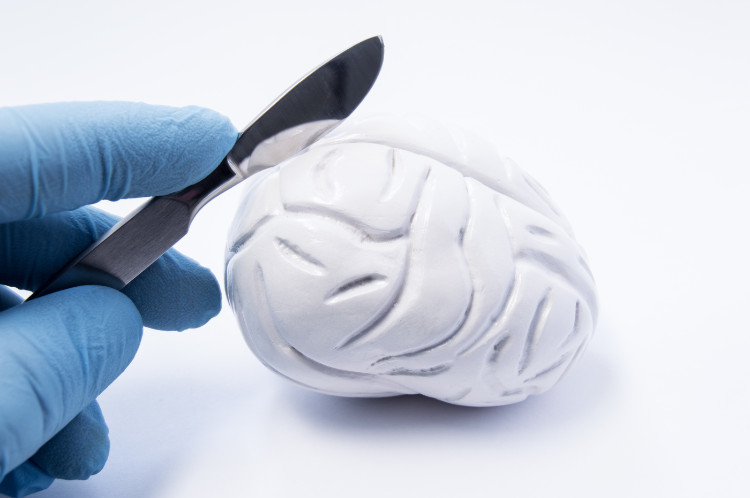 a hand holding a scalpel over a mock-up of a brain