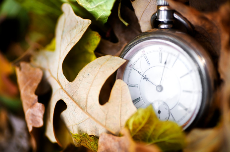 Hands of a clock laid in autumn leaves
