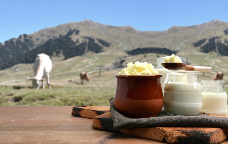 Bryndza and dairy products with landscape and sheep in the background