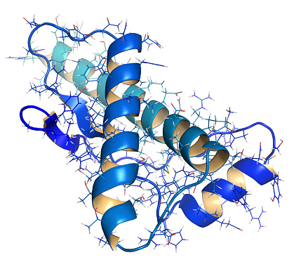 microscopic structure of prion protein