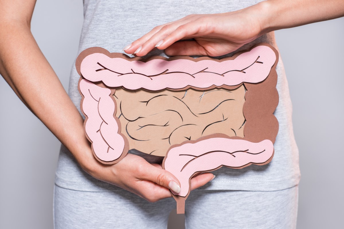 Intestines drawn on paper held by a woman - representation of the digestive system