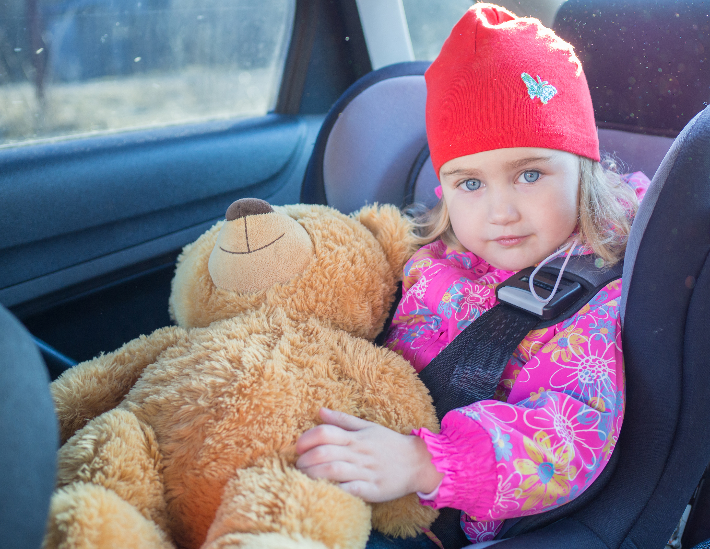 Baby in car seat, sitting, looking, contented look, holding teddy bear