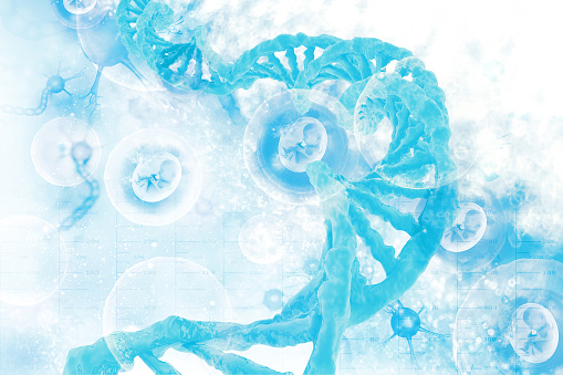 Fetus and genome shown in blue