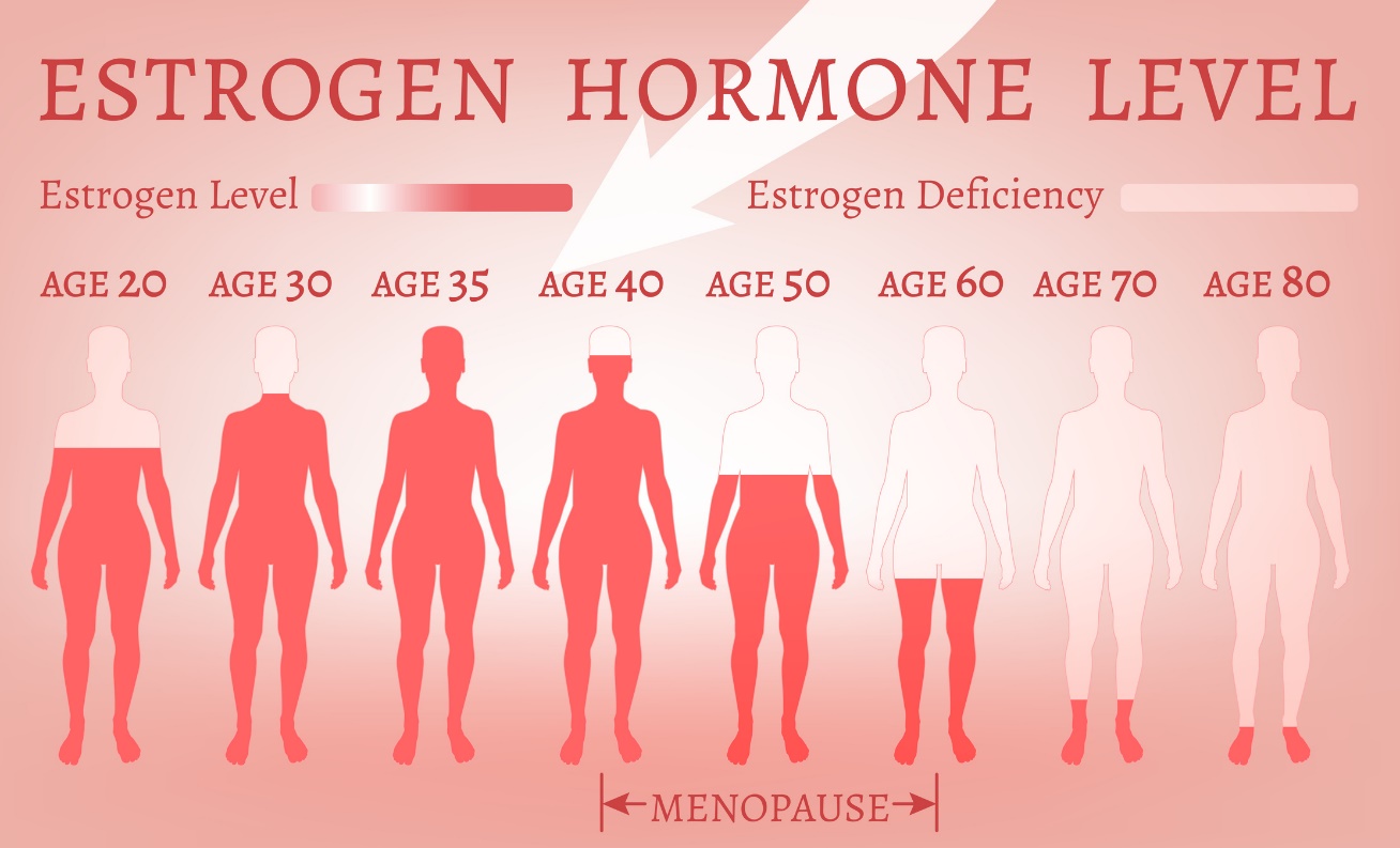 Estrogen levels as a function of age