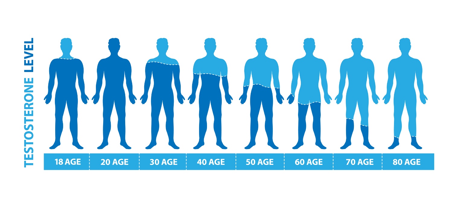 Testosterone levels depending on the age of the man