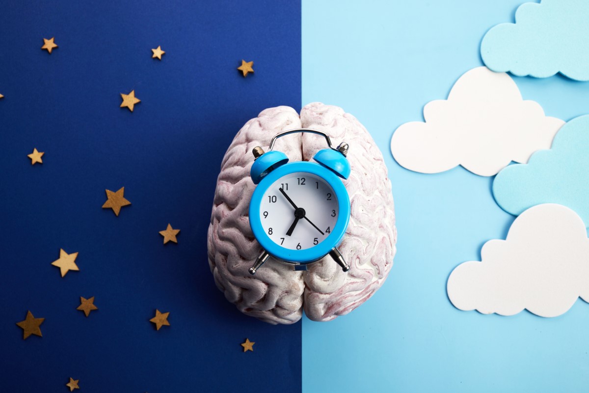 The internal clock is located in the brain, in the hypothalamus.