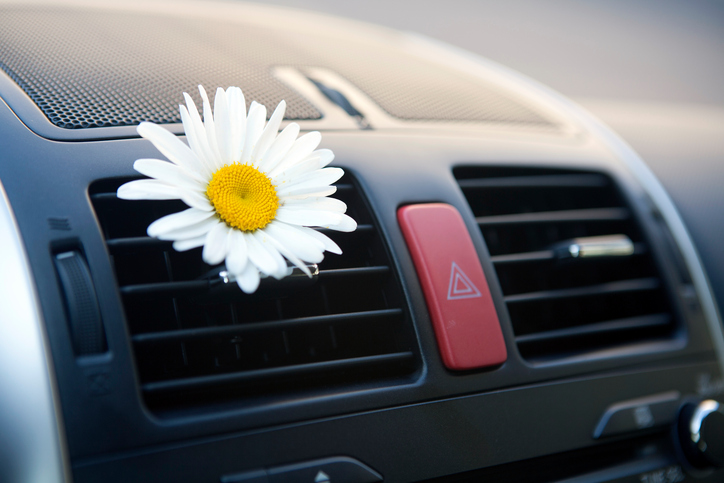 Air conditioning in the car, air exhaust, flower, pleasant aroma, maintenance