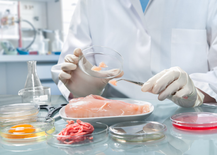 a lab technician holding a petri dish examining bacteria in meat