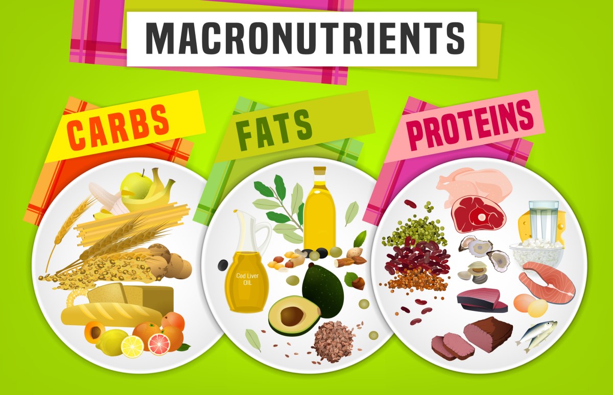 Macronutrients - sugars, fats, proteins - animation of plates and foods with given nutrients