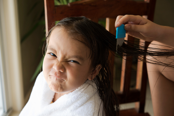 A frowning girl whose hair is being brushed out