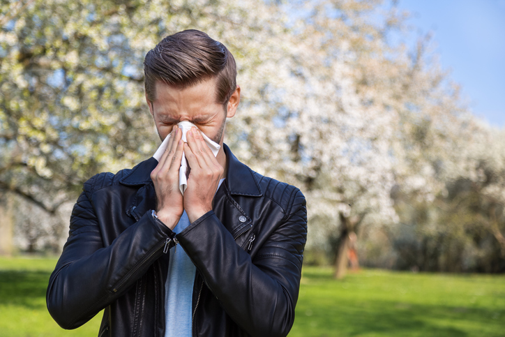 a man with hay fever and a full nose by a blossoming tree with a handkerchief in his hand