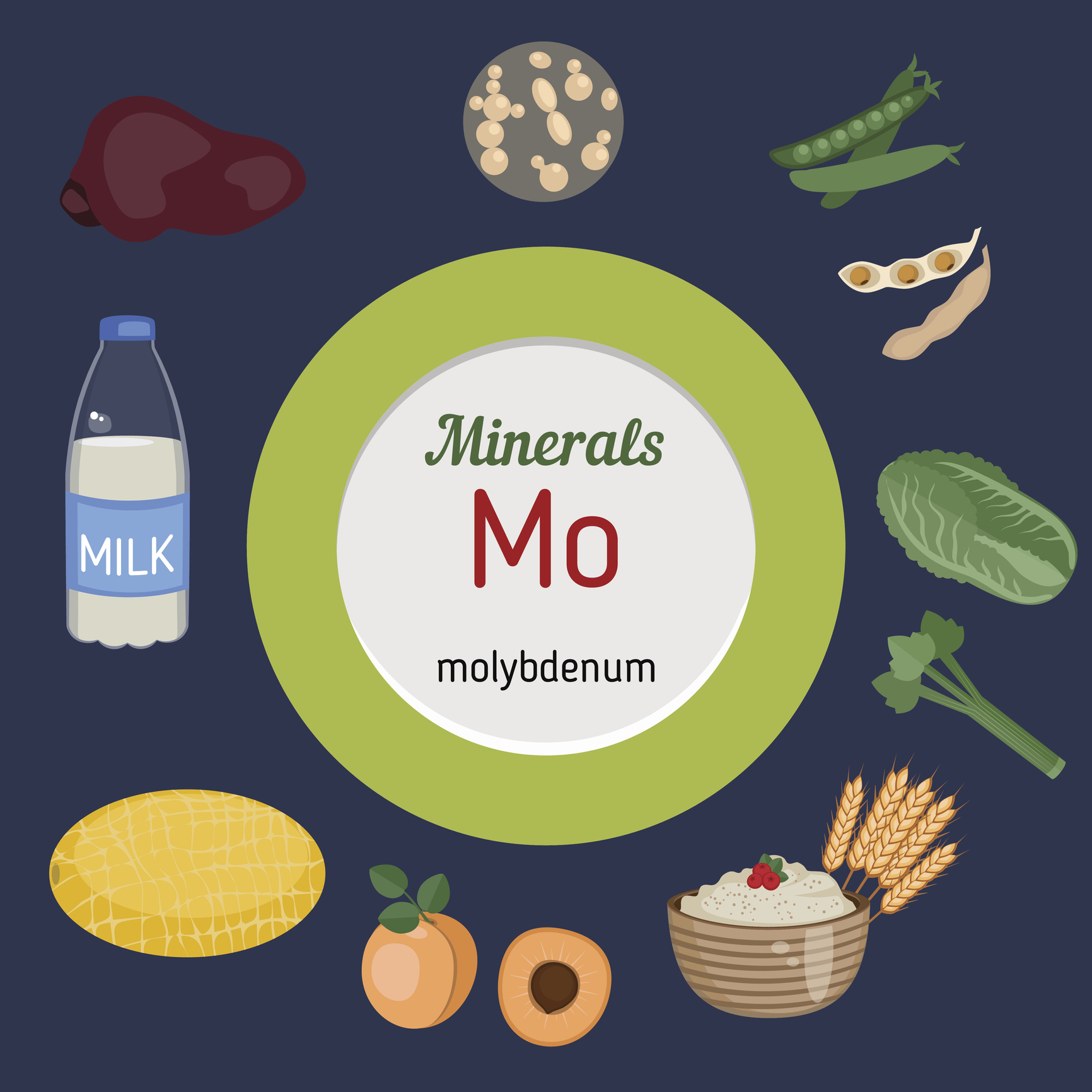 The primary sources of molybdenum for humans are plant and animal foods.