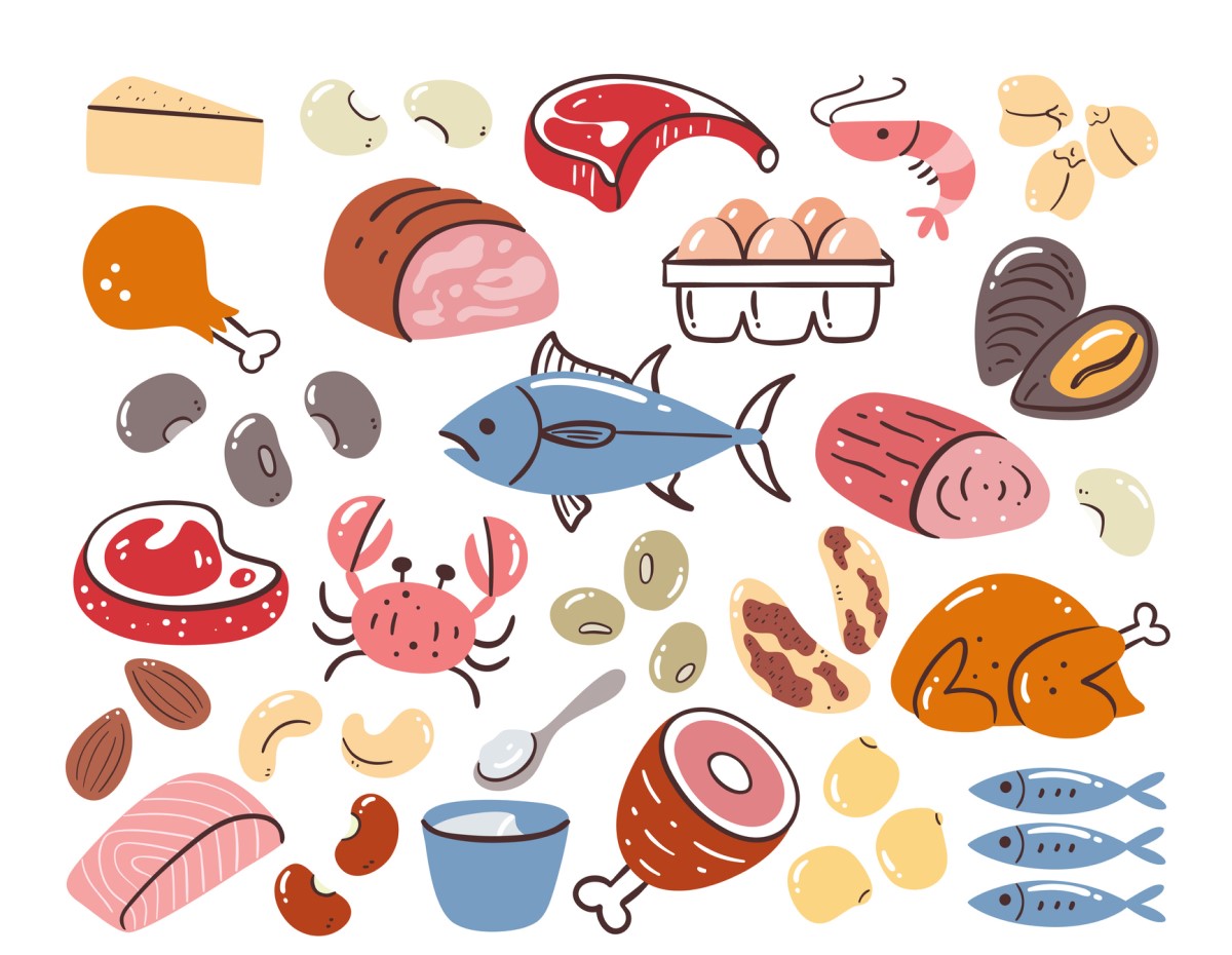Sources of protein in food - animated picture