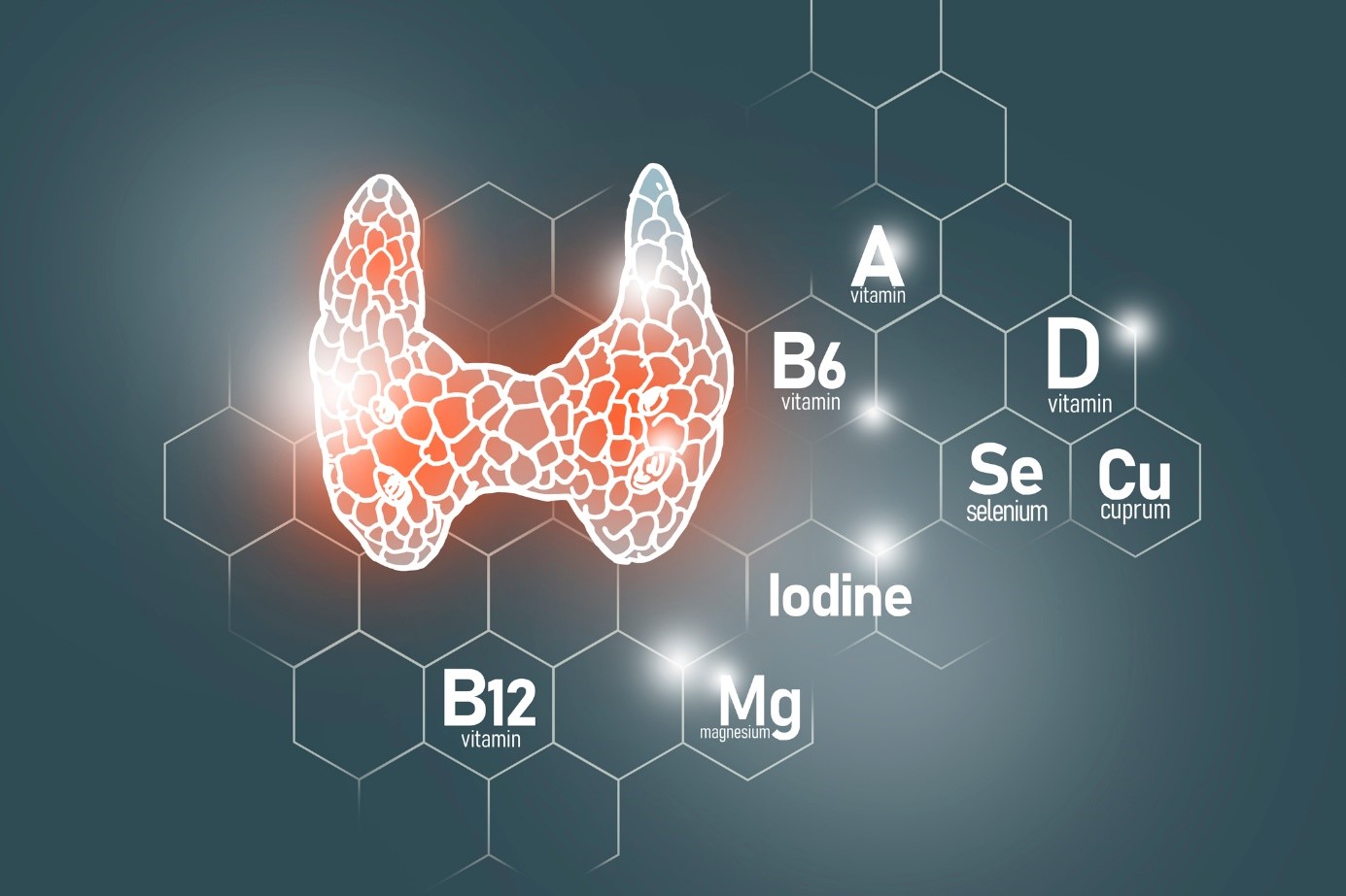 Selenium as an important element for proper thyroid function