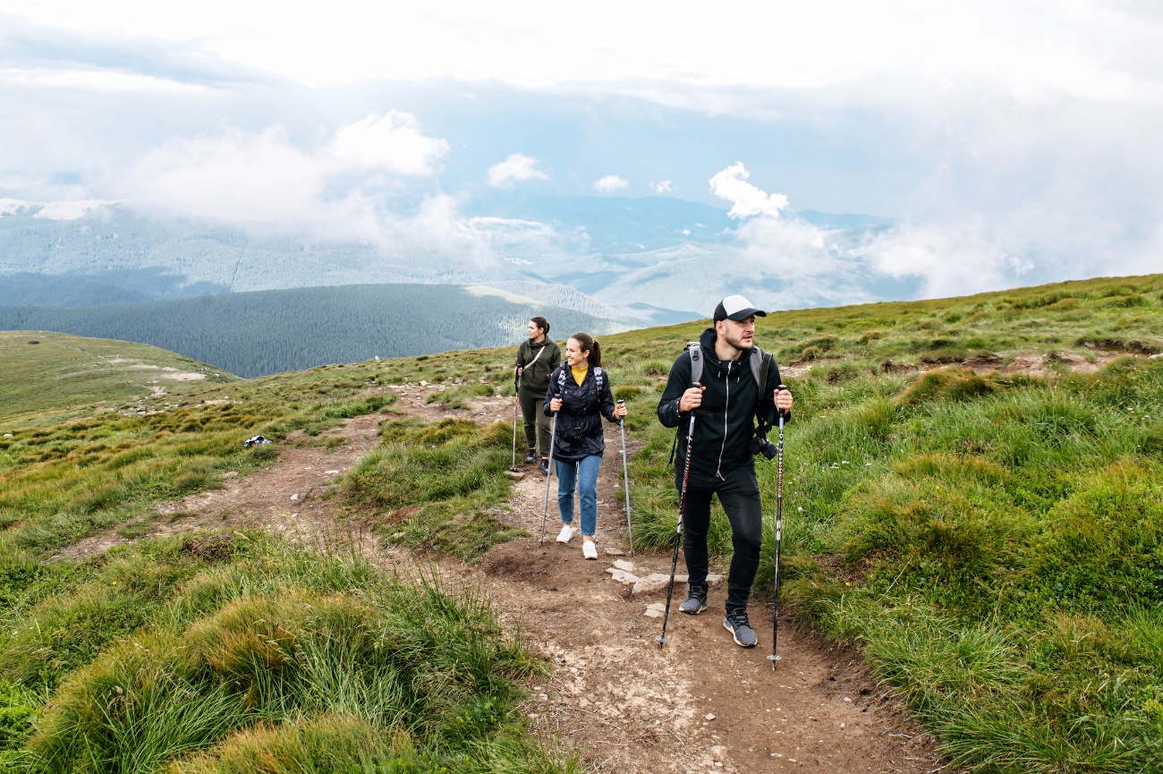 Group Nordic walking in nature