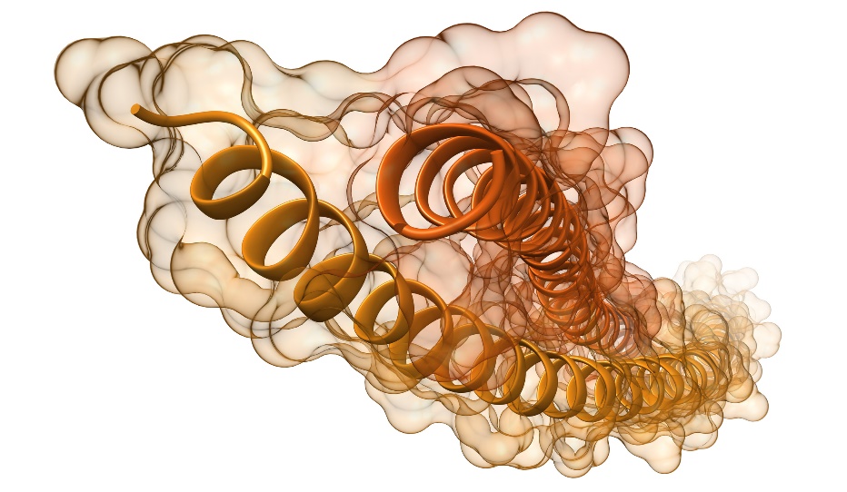 Visualization of keratin protein filaments and helices