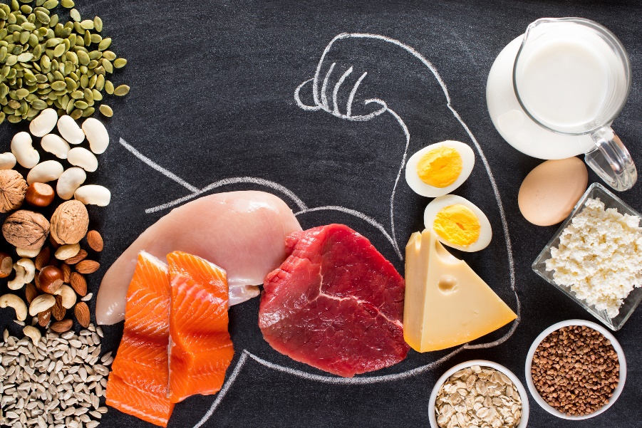 Sources of protein in the diet