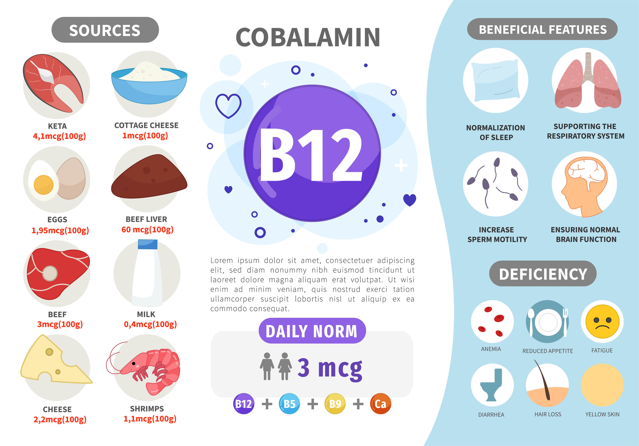 Sources of vitamin B12