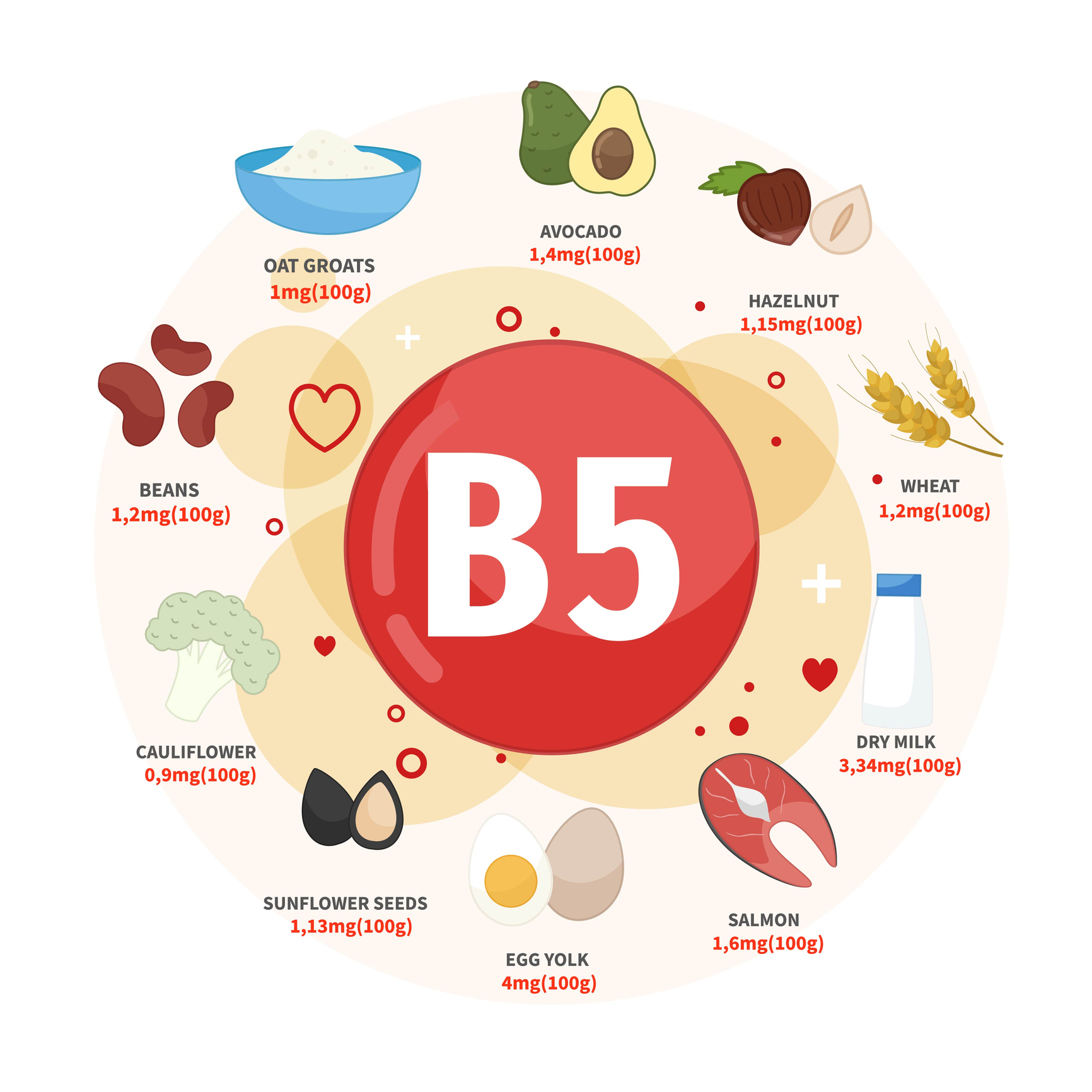 The best sources of vitamin B5 include avocados, hazelnuts, wheat, milk, salmon, eggs, sunflower seeds, cauliflower, beans, oatmeal. 