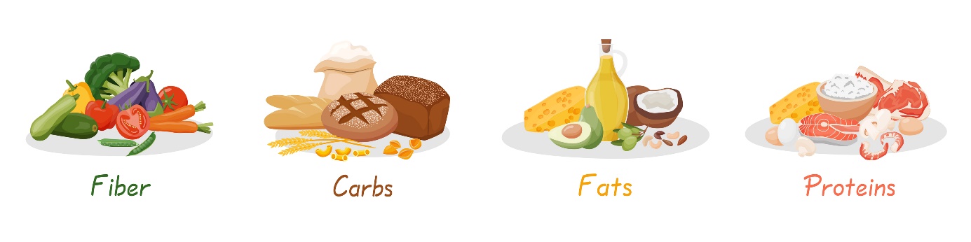 Sources of fiber, slow carbohydrates, fats and protein.