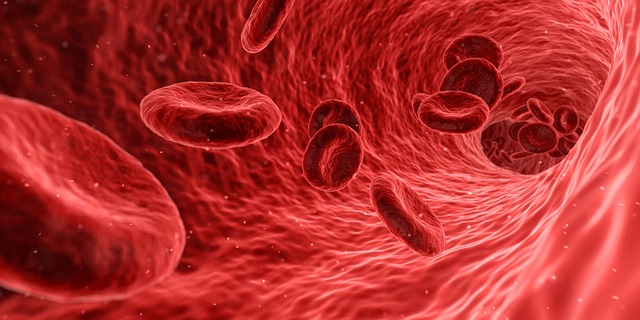 blood, red colour, red blood cell