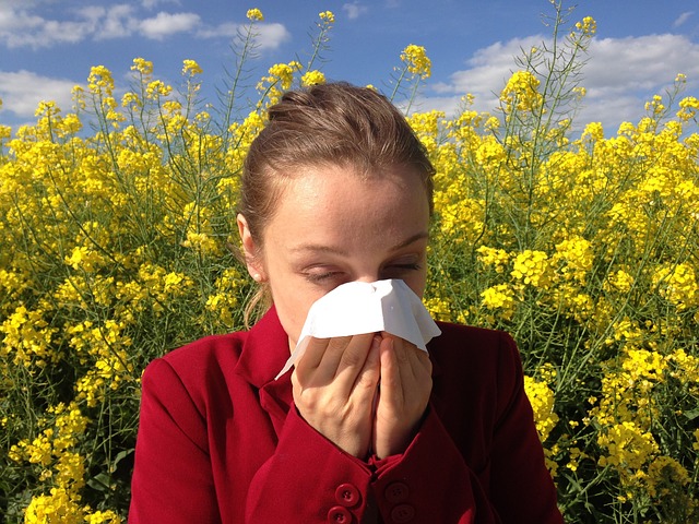 a woman sneezes and has a handkerchief on her nose has hay fever and pollen allergy and is in a meadow