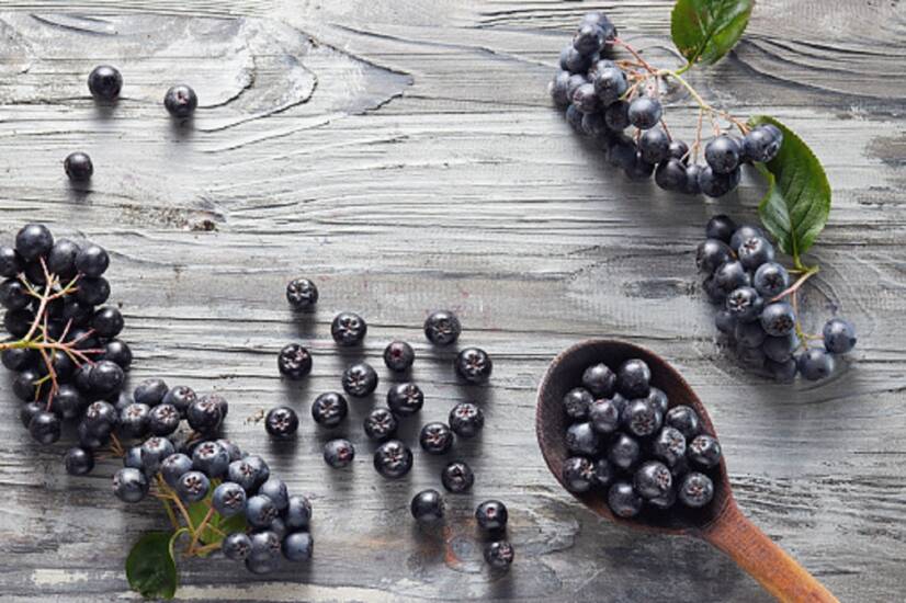 Aronia: What are its health effects? (cultivation, use)