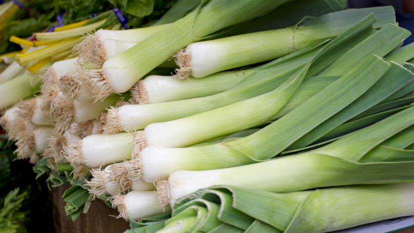 Leeks and their health benefits. Do you know how to grow them?