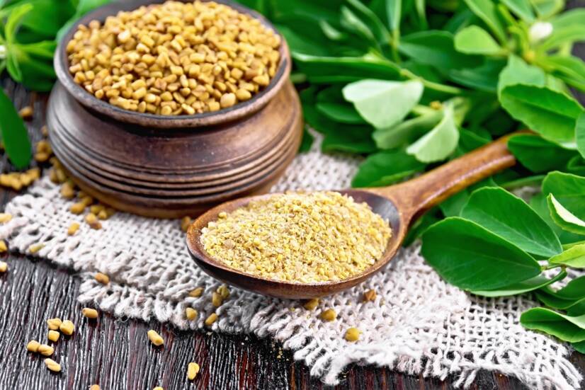 fenugreek: what are its effects on health, libido?