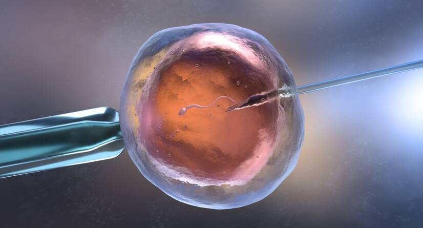 In vitro fertilisation IVF . Photo source: Getty Images.