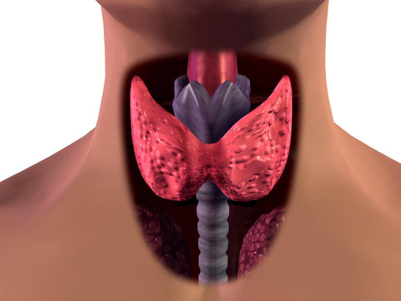Hyperthyroidism: Why does it occur and how does it manifest? + Values and treatment