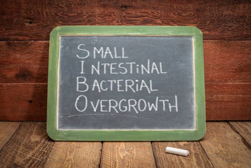 SIBO: What is Bacterial Intestinal Overgrowth Syndrome? Symptoms...