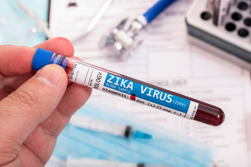 Zika virus: what is it, how is it transmitted and what are the symptoms?