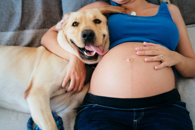 Pregnant woman and pets. Photo source: Getty Images