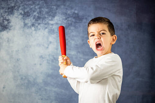 Aggression in children. How to manage an unmanageable child?