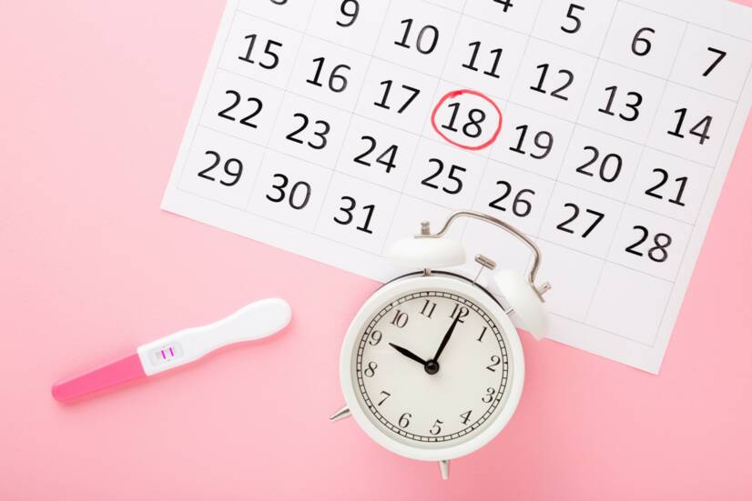 Ovulation, calculation of fertile and infertile days. How to plan pregnancy?