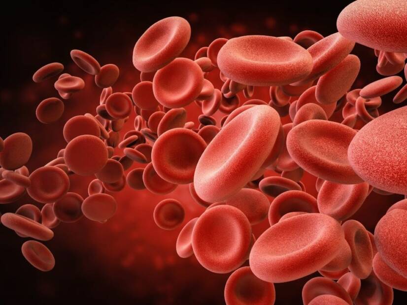 Red blood cell breakdown: what is haemolysis and why does it occur?