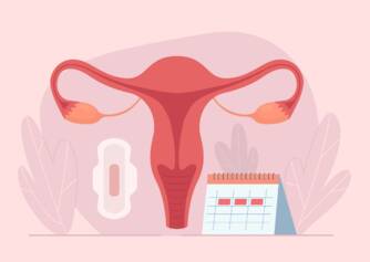 How does the menstrual cycle work? Cycle length and phases + symptoms