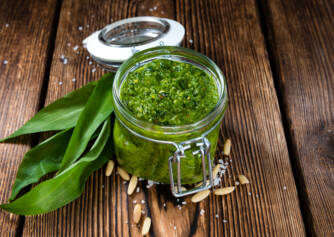 Bear garlic pesto (spread)? A healthy recipe for spring cleansing