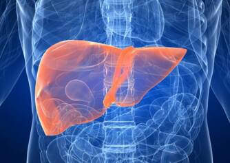 Liver enlargement: what does it signal? What diseases cause it?